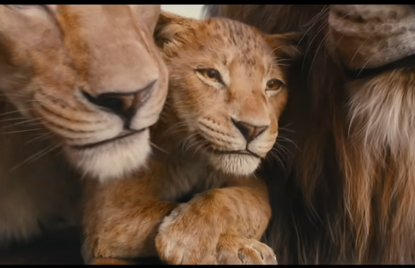 the lion king mufasa movie, mufasa review, mufasa movie, lion king mufasa, the lion king mufasa review,